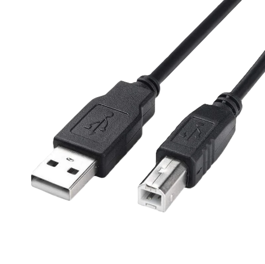 Argom Cable USB Printer 2.0 AM/BM Cable - 10FT